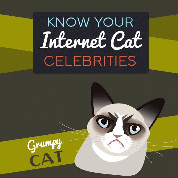 Thumbnail of Internet Cats Infographic