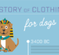 Illustrations showing an example infographic about the history of dog clothing.