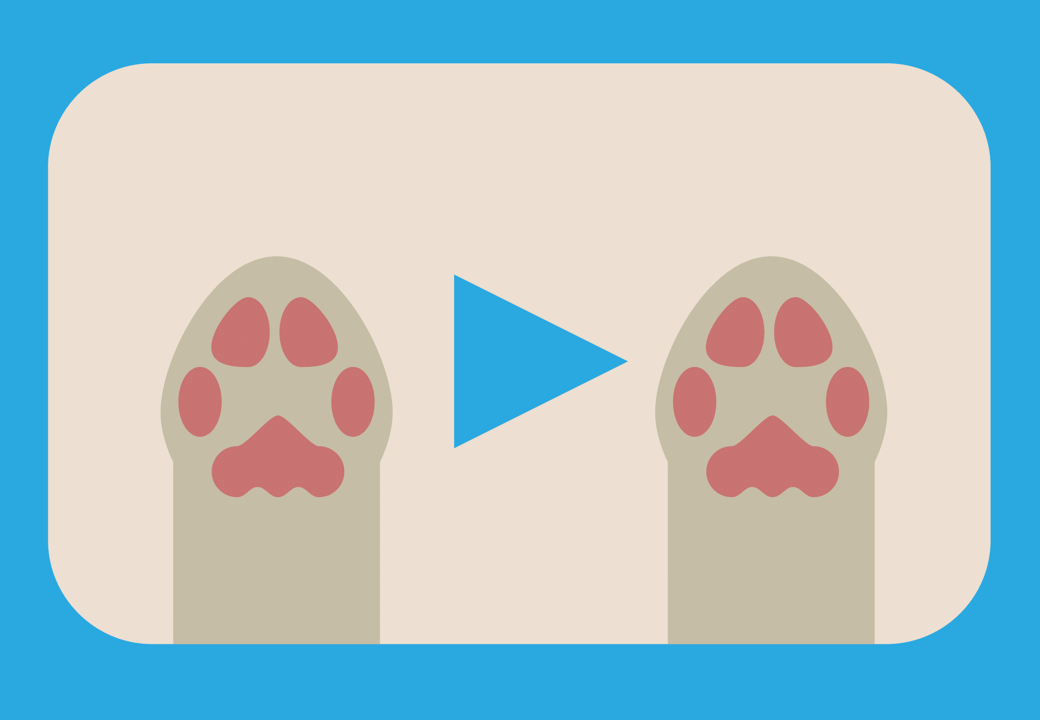 Illustration of a cat video.
