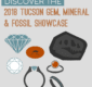 Thumbnail preview of Tucson gem show infographic.