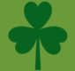 Dark green shamrock on a green background.