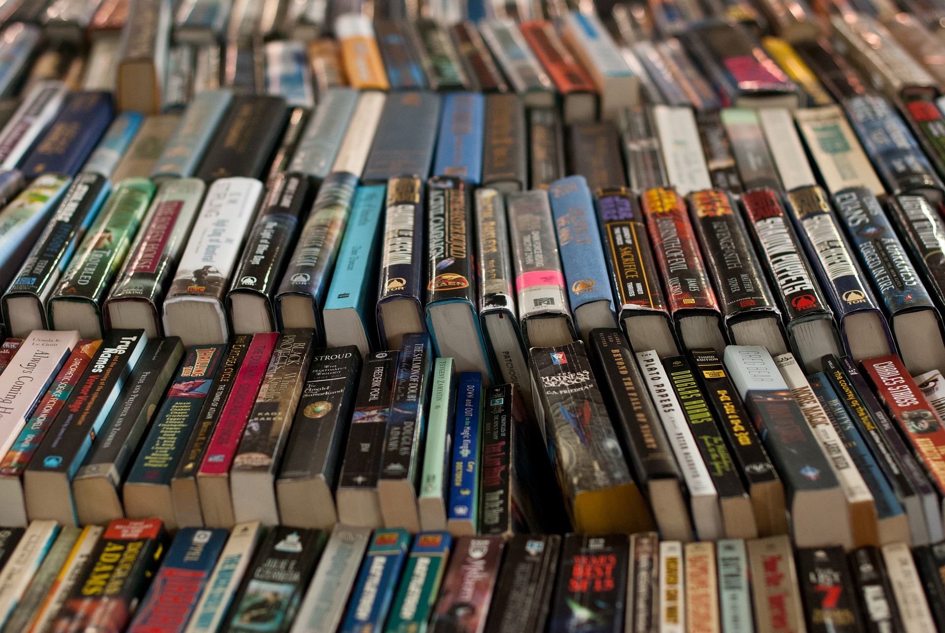 Photo of hundreds of books lined up on a table.